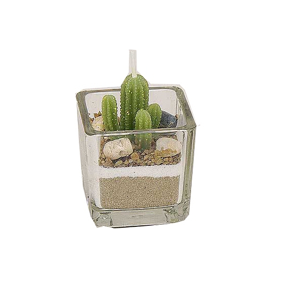 Cactus kaarsjes 5 cm