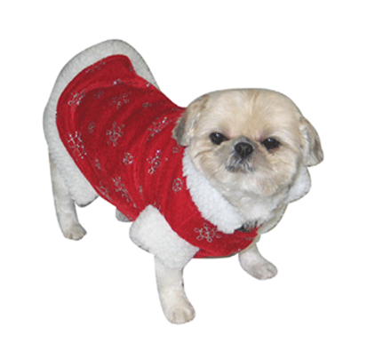 Kerst honden outfit