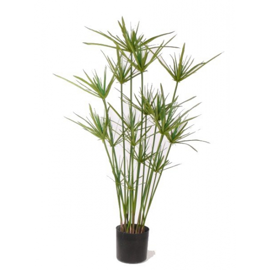 Nep plant papyrus 90 cm