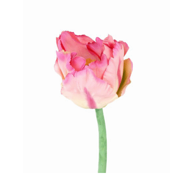 Tulp deluxe roze 25 cm