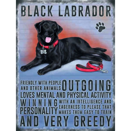 Wand decoratie zwarte Labrador