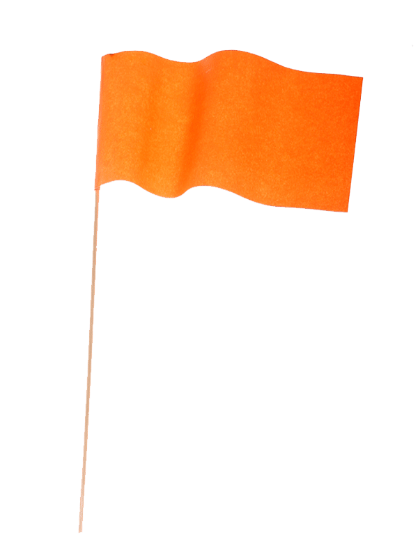 10 papieren zwaaivlaggetjes oranje