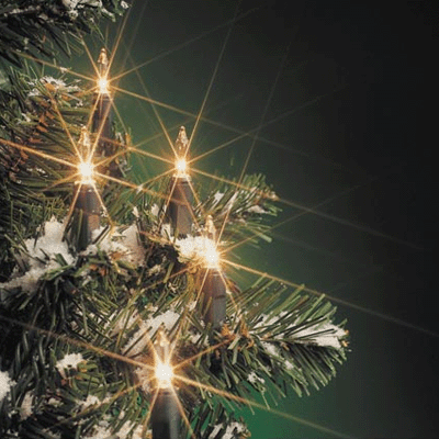 Kerstboom lampjes 160 stuks