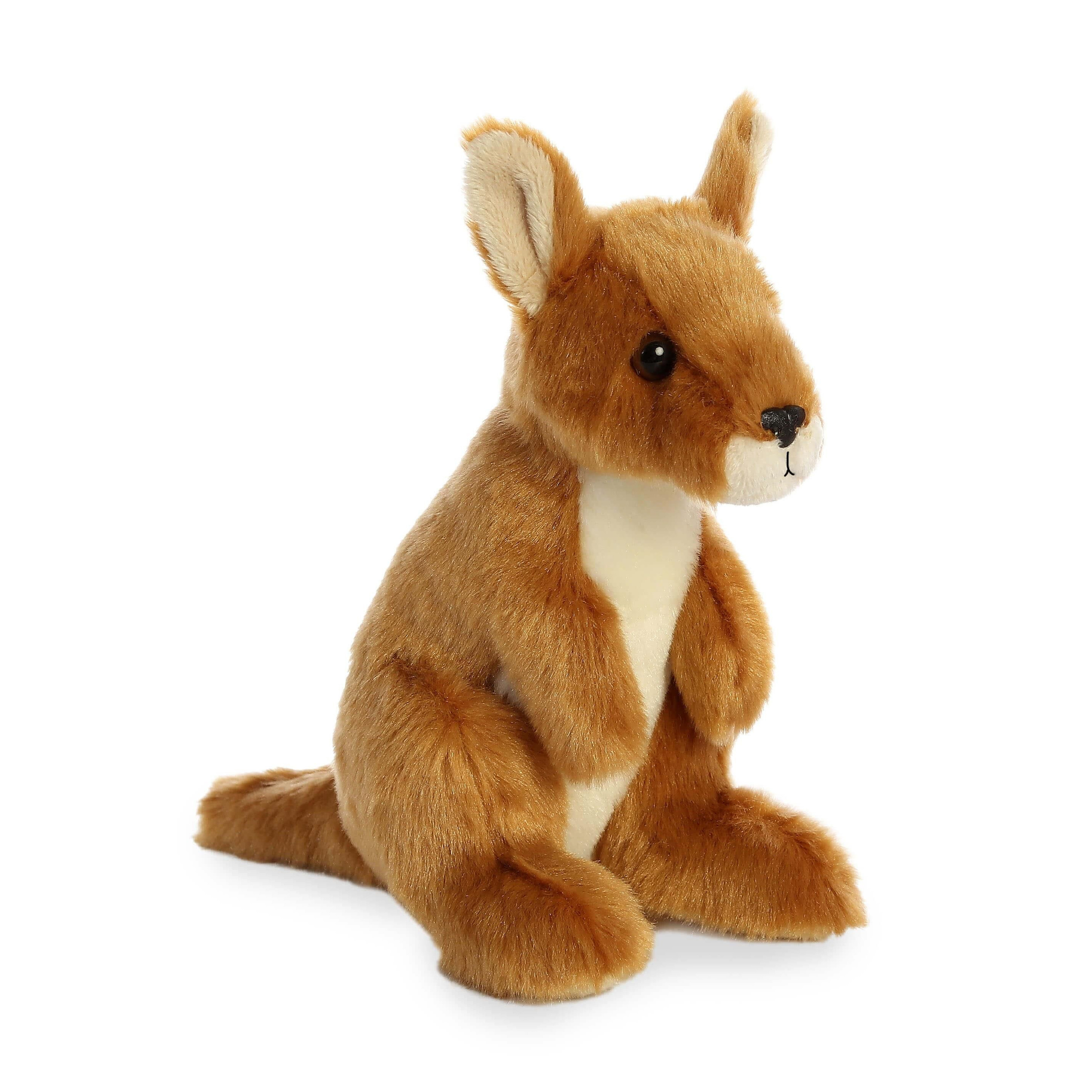Attent Concurreren Bij Kangoeroe knuffels, Pluche dieren knuffels kangoeroe van 20 cm,  Feestartikelen-shop.nl