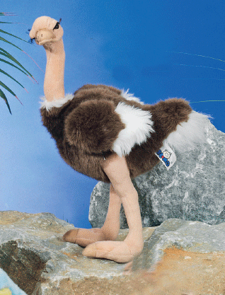 Staande  pluche struisvogel knuffel 30 cm