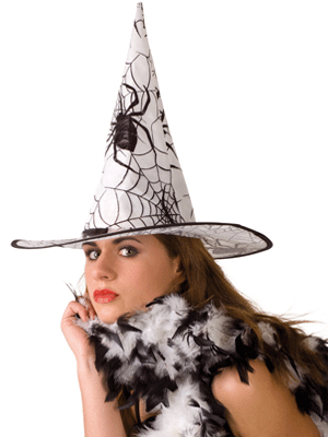 Witches dress up kit