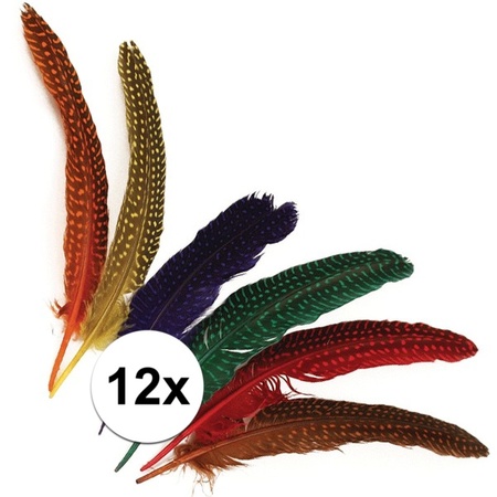12 pieces feathers with dots 