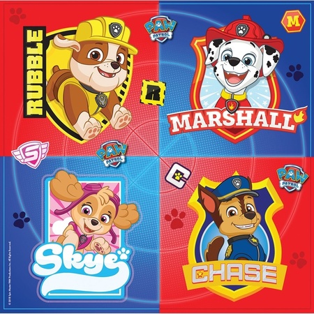 Mega Paw Patrol kids theme party decoration package 9-16 people
