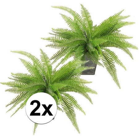 2x Fern bush 33 cm green