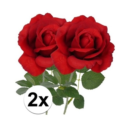 2x Art rose Carol red 37 cm
