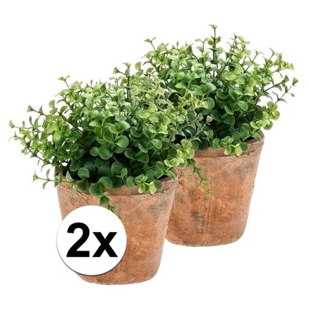 2x Kunstplant eucalyptus groen in oude terracotta pot 20 cm 