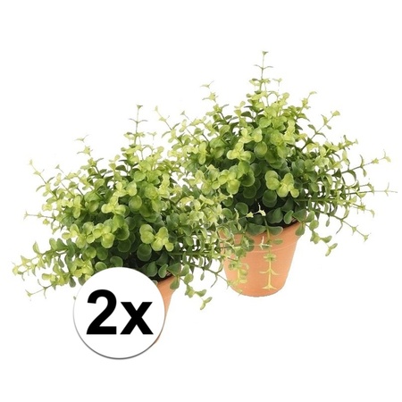 2x Artificial eucalyptus plant green in terracotta pot 20 cm 