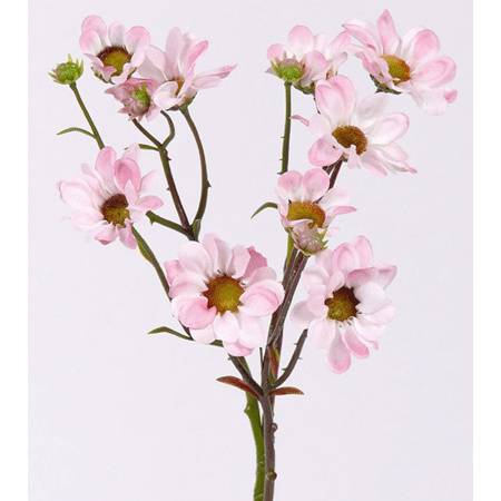 2x Licht roze margriet kunstbloemen tak 44 cm