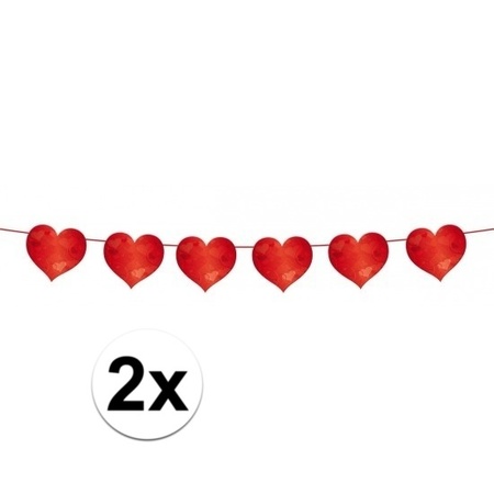 2x Hearts garland 6 meters