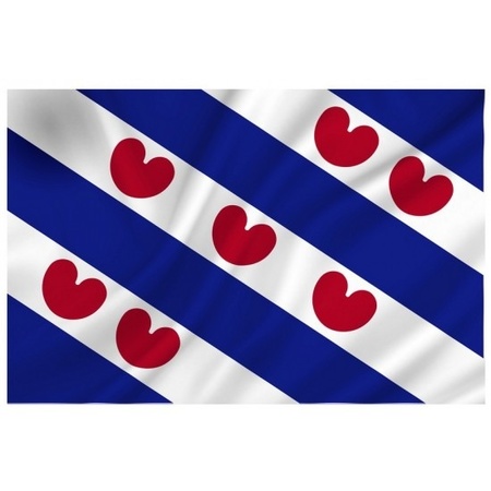 2x vlag van Friesland