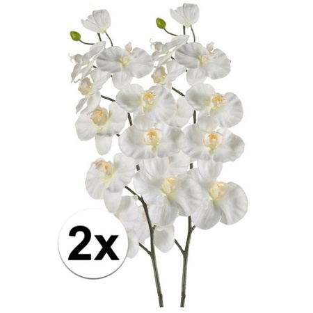 2x Kunstbloem Orchidee wit