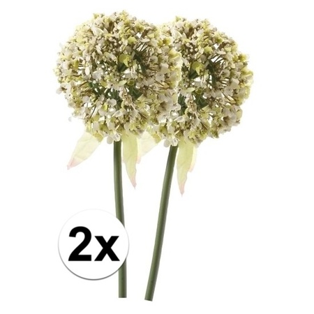 2x Witte sierui kunstbloemen 70 cm