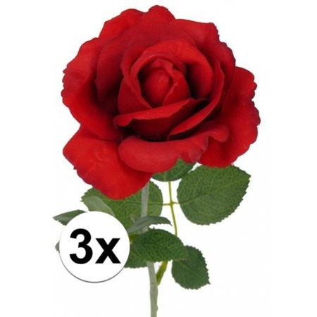 3x Art rose Carol red 37 cm