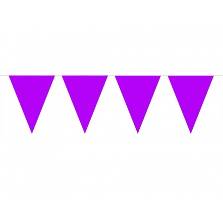 Flag line purple 3x