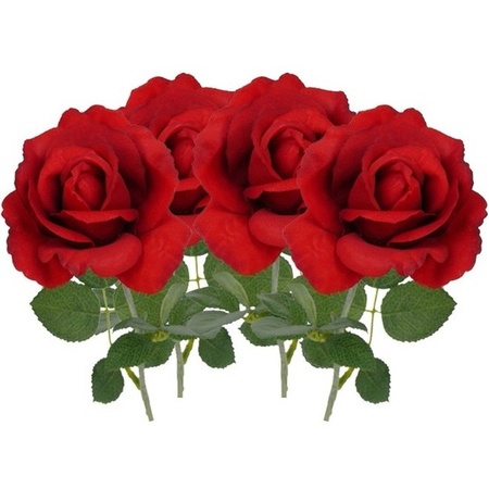4x Art rose Carol red 37 cm