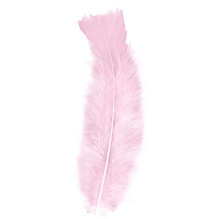 50x Light pink feathers decorations hobby/DIY materials 17 cm