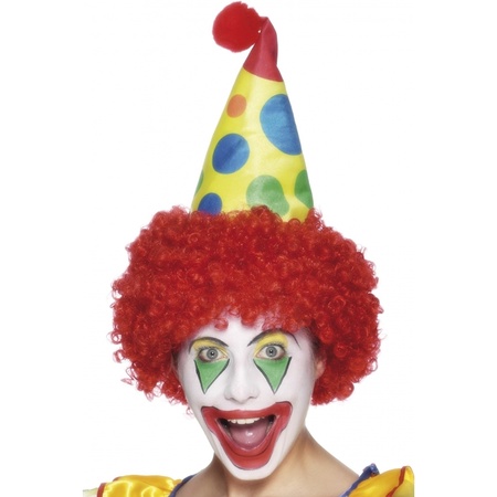 gebruiker Belonend Obsessie Fun hoeden, Clown verkleed accessoire hoedje met haar,  Feestartikelen-shop.nl