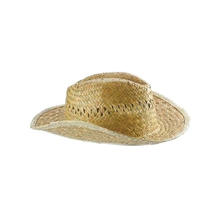 Cowboy straw hat summer