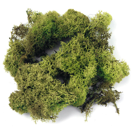 Decoration moss light green 100 gram