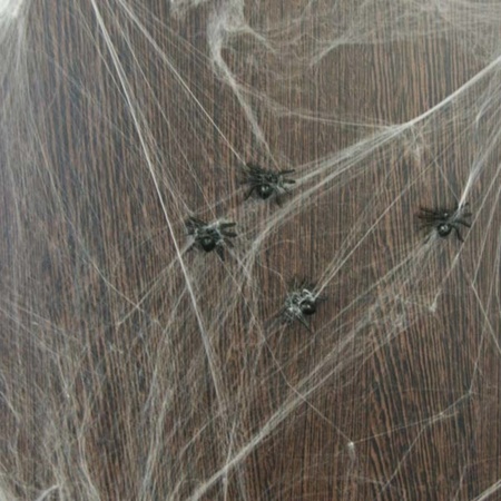 Spinnenweb met spinnen decoratie