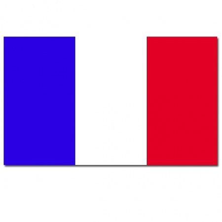 Vlaggen Frankrijk 100 x 150 cm