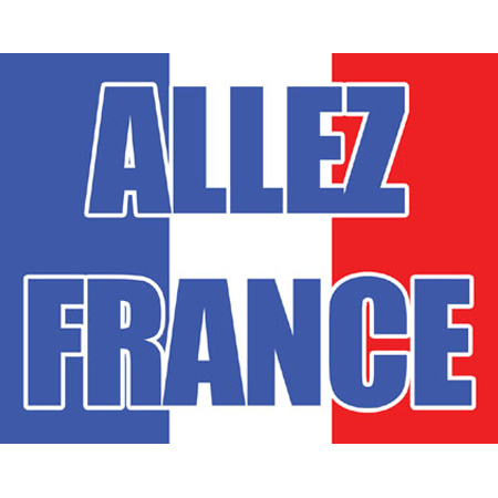 Franse vlag 70 x 100 cm