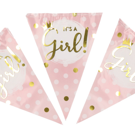 New born bunting flag it's a girl! 10m