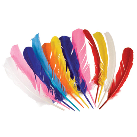 Colored Indian feathers 12 pieces