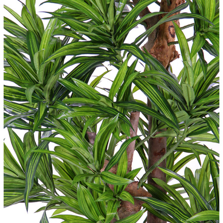 Green Artificial dracaena reflexa plant 120 cm