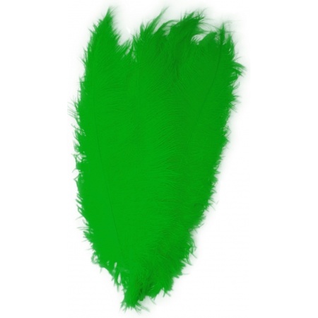 Large feathers 50 cm green
