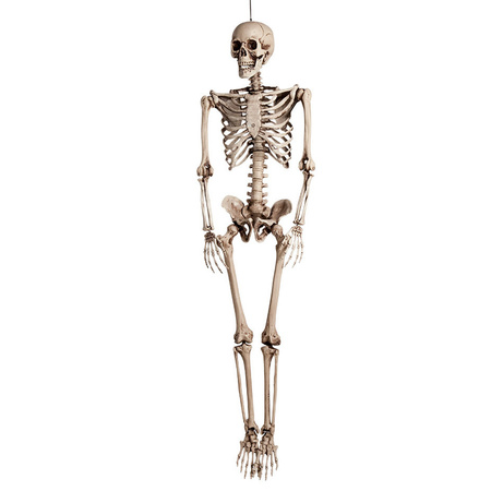 Hangende horror decoratie skelet groot 160 cm
