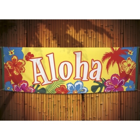 Hawaii Aloha banner