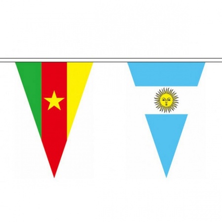 Internationale vlaggenlijn 11 meter