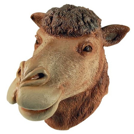 Verkleed masker kameel