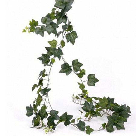 Ivy garland Hedera Gala 205 cm