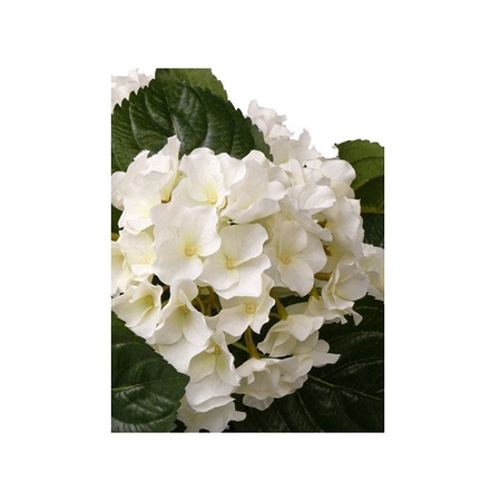 Witte hortensia kunstplant 36 cm