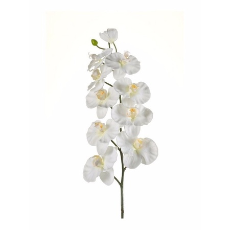 Phalaenopsis spray 100 cm white