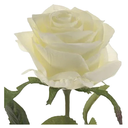 Kunstbloem roos Simone - wit - 45 cm - decoratie bloemen