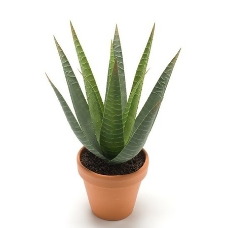 Kunstplant Aloe Vera - groen - in terracotta pot - 23 cm