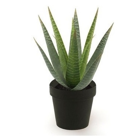 Emerald Artificial plant Aloe Vera - green - in black pot - 23 cm