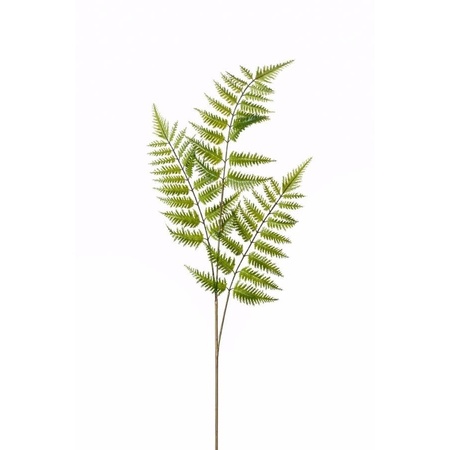 Tree fern spray 85 cm