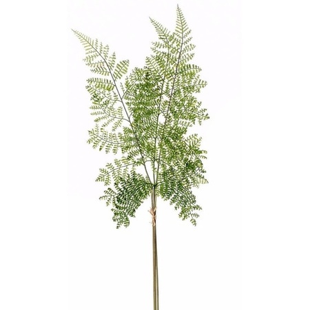 Kunstplant bosvaren tak 58 cm groen