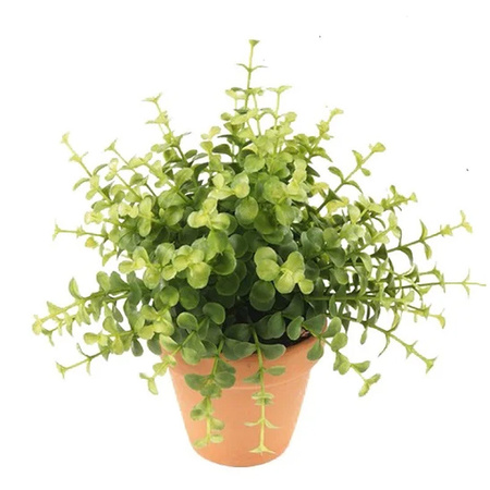 Kunstplant eucalyptus - groen - in terracotta pot - 20 cm