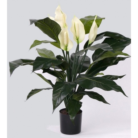 Artificial plant Spathiphyllum 75 cm