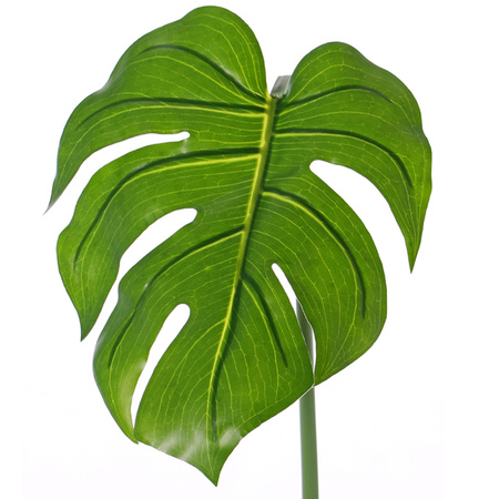 Monstera leaf spray 55 cm green